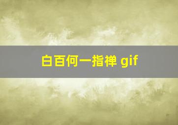 白百何一指禅 gif